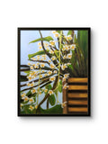 "Sunlit Orchids"